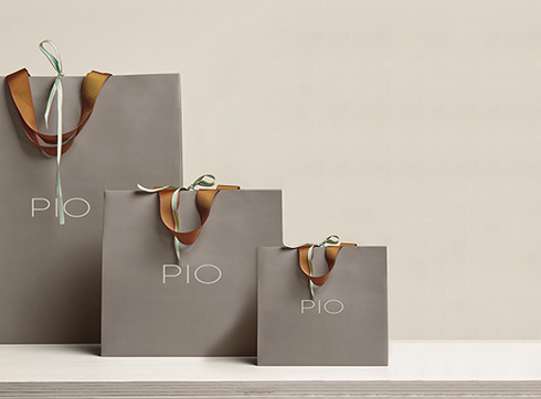 Paper Carry Bags
